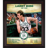 Fanatics Authentic Larry Bird Boston Celtics Framed 15x17” Hardwood Classics Collage