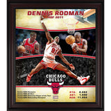 Fanatics Authentic Dennis Rodman Chicago Bulls Framed 15x17” Hardwood Classics Collage