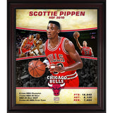 Fanatics Authentic Scottie Pippen Chicago Bulls Framed 15x17” Hardwood Classics Collage